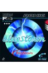 Donic-Bluestorm-Big-Slam-boritas