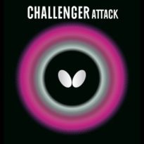 Butterfly-Challenger-Attack-boritas